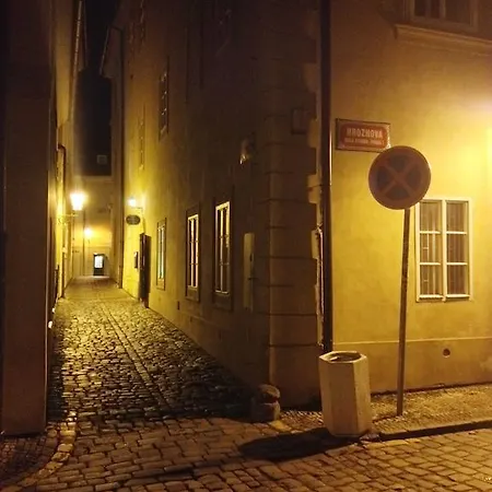 U Hroznu Prague